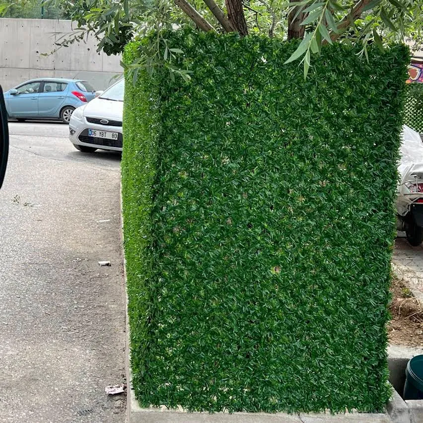 Ankara Çit Uygulaması